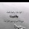 nourelhyaa04