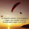 edwin.flores03