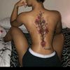 .kemi38