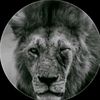 adem_20_4