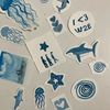 nafiiblue