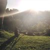 salomecarmona039