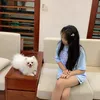 dandanqthi_ddan15