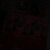 user5305607031990