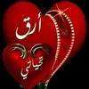 user5256704160978