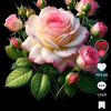 md.atonmoy