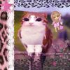 stupidcatfishh