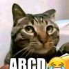 abcd_13560