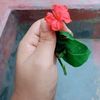 aqsaabir0