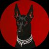 zxchi_1