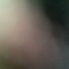 damox_15