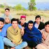 tauseef.khan686