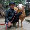 sahabatridhofarm