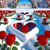 user3951517574503