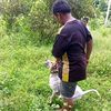 bujang_parenten01