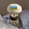 qizilbash21
