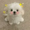 iawkhlng