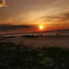 prinitonaadobo