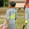 vikokumaraputra2014