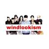 windlookism