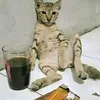 nhinnhinnhonnhac1
