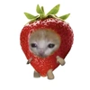 strawberry_1728