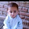 amjadbaloch3384