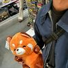 salzz_bininizar18