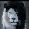 leon_xd11