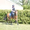 louizeverboven