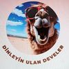 Dinleyin Ulan Develer