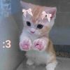 xxmitxx2