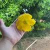 tiktiktok.23