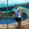 kiking0521