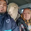 pequeña ☺️🐑🐑🐑🐑
