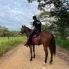 jorgevaca25