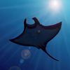 mantarayluva