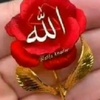 zafar.iqbal9134