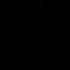 adinaroman77