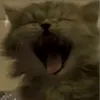 melodious_isweird