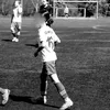 bro_1427834.5