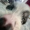 ່