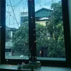 hiu.vn0063
