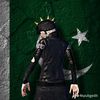 pakistanmedia3