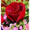 nuri.wprb9334