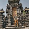andibahri82
