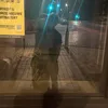 a_delem