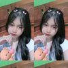 firabutterflyera