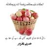 rawailkhan019