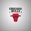 chicago.bulls86